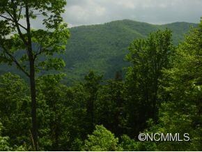 49 Smokey Ridge Trail unit 179, Arden, NC 28704 - photo 3