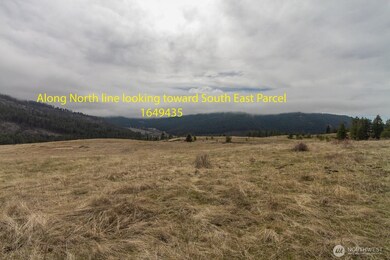 3600 Block Beck Rd, Rice, WA 99167 - photo 4
