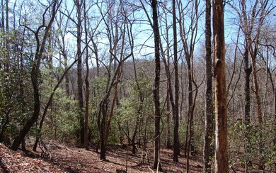 Additional View