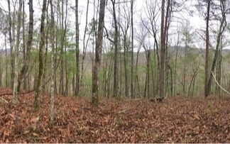 L1719 Rebekah Ridge Rd, Talking Rock, GA 30175 - photo 2