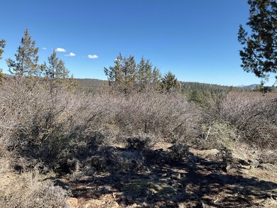 Panorama Views