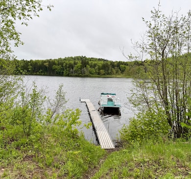 532 New York 8 unit 3, Piseco, NY 12139 - photo 5