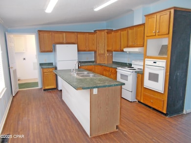 6905 Bateau Pond Rd, Grand Ridge, FL 32442 - photo 4