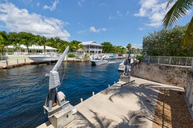 50 Ft of dockage on the waterway