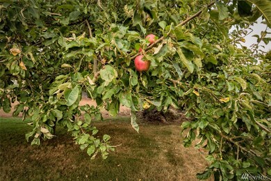 1211 Front St, Lynden, WA 98264 - photo 2