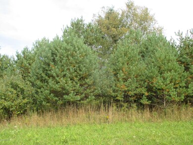 Parcel A N Felch Ave, Lincoln Township, MI 49349 - photo 7