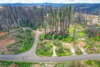 5136 Evergreen, Grizzly Flats, CA 95636 - photo 3