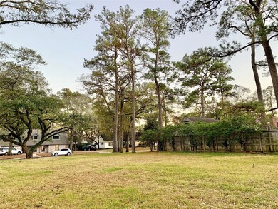 105 Stoney Creek Dr, Houston, TX 77024 - photo 4