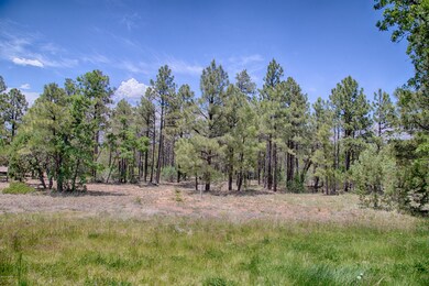 PAXMAN_lupine--11