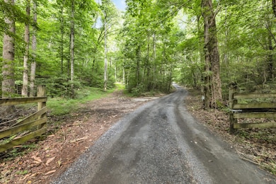 158.37 Acres | Williams Rd