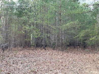 9789 Honey Tree Ct, Gloucester, VA 23061 - photo 2