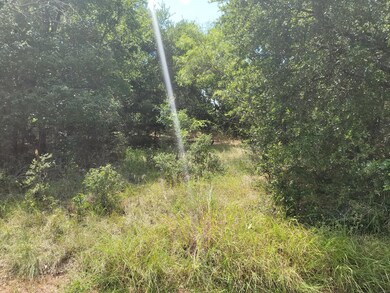 16079 Faircrest Dr, Whitney, TX 76692 - photo 3