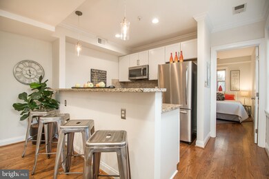 739 Newton Place NW unit 203, Washington, DC 20010 - photo 5