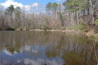 13009 Windsor Blvd, Windsor, VA 23487 - photo 3