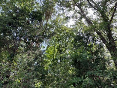 0000 Farm To Market Road 2864, Nacogdoches, TX 75965 - photo 3