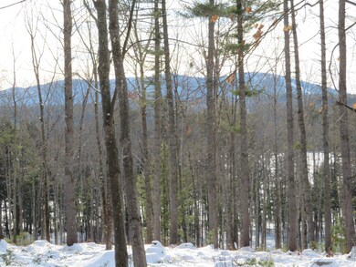 Lot B Twilight View Rd, Bridgton, ME 04009 - photo 3
