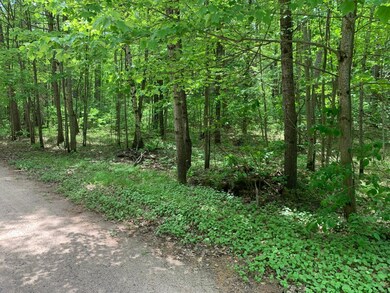 Lot 4 Somo Ridge Dr, Tomahawk, WI 54487 - photo 2