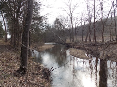 0 Hurricane Creek Rd unit 1710352, Linden, TN 37096 - photo 6