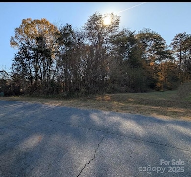 0 Grassy Meadow Ct unit 48, Lincolnton, NC 28092 - photo 3