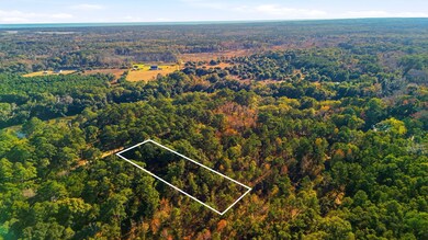 7783 Chaplin Garden Ln, Edisto Island, SC 29438 - photo 6