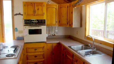 67823 Shady Ln, Collbran, CO 81624 - photo 5