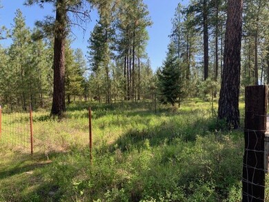 XXXX N Hatch Ln, Spokane, WA 99005 - photo 2