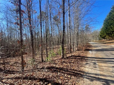 00 Cassidy Bridge and Buckeye Ridge Rd, Mountain  Rest, SC 29664 - photo 5
