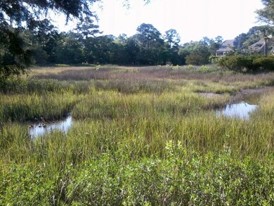 2 Marsh view from Lot.jpg