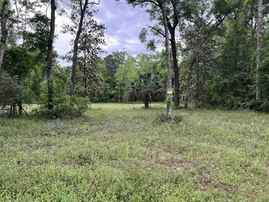 62 Appaloosa Rd, Crawfordville, FL 32327 - photo 3