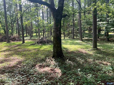 Lots 12 & 13 Denbo Cir, Harvest, AL 35749 - photo 5