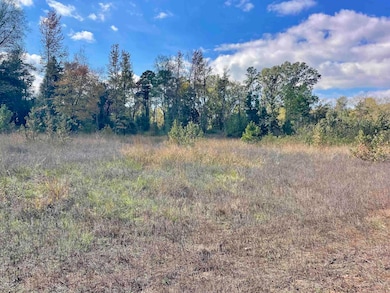 000 Blaty Rd, Lamar, AR 72846 - photo 4