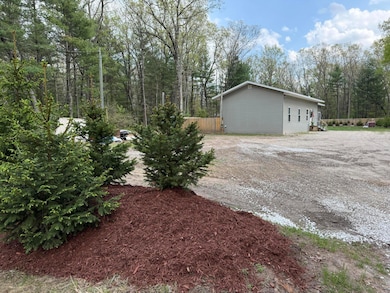 1581 Lone Pine (West) Dr, Baldwin, MI 49304 - photo 4