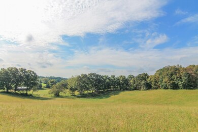 Lot 4 Lovelace Rd, Knoxville, TN 37932 - photo 2