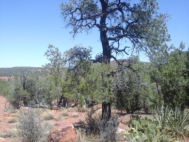 Lot 222a Juniperwood Ranch Unit 2, Ash Fork, AZ 86320 - photo 2