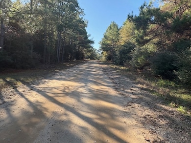 20 Nassau Ln, Normangee, TX 77871 - photo 3