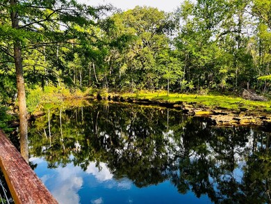 1960 River Rd NE, Steinhatchee, FL 32359 - photo 5