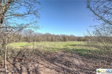 TBD Goates Rd, Other, TX 76579 - photo 5