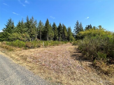 241 Bremgartner Rd, Winlock, WA 98596 - photo 4