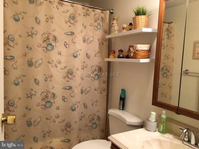 62 Briarcrest Dr, Berlin, MD 21811 - photo 6