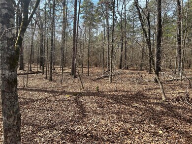 1031 Water Way, Lincolnton, GA 30817 - photo 5