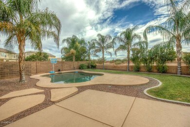 Backyard 3