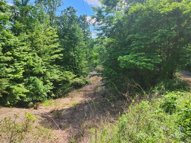 00 Hickory Nut Ln unit 390, Lake Lure, NC 28746 - photo 2