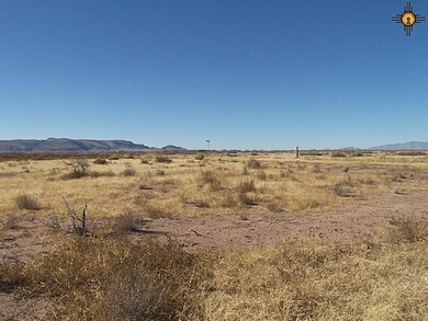 0 Dr Unit 111 Bk 2 T 18-27 unit 20180432, Deming, NM 88030 - photo 2