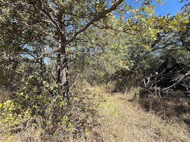 View of local wilderness