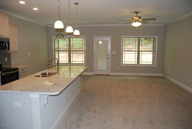 131 Summer Grove Ln, Macon, GA 31206 - photo 3