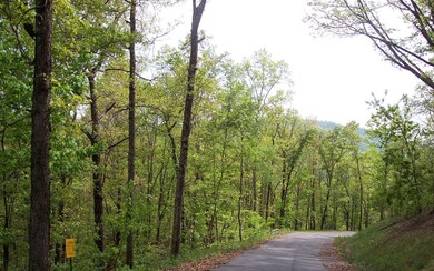 Additional View