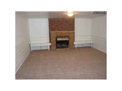 BASEMENT REC. ROOM. FIREPLACE,BAR NEW CARPETING