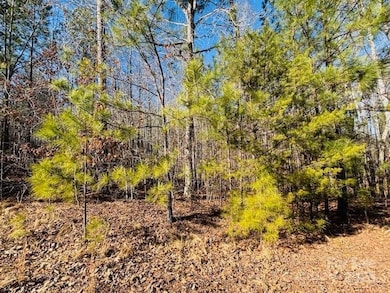 0 Creekside Cir unit 110 CAR4219289, Rutherfordton, NC 28139 - photo 4