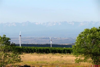 0 NW Sage Ave unit 690849, Cedaredge, CO 81413 - photo 2