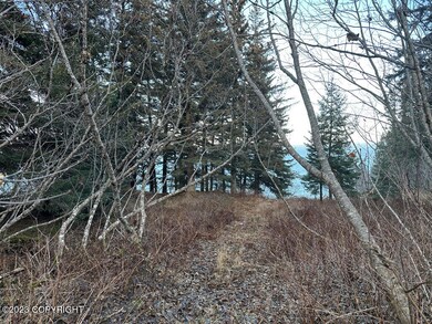 Looking down towards the water